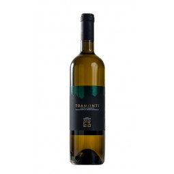 Tramonti Doc Bianco