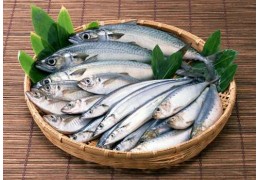 The blue fish: beneficial and nutritional  properties