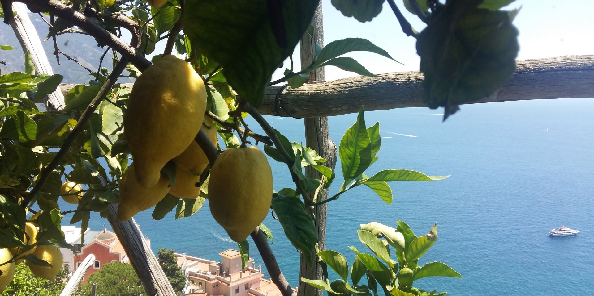 Il profumo dei limoni